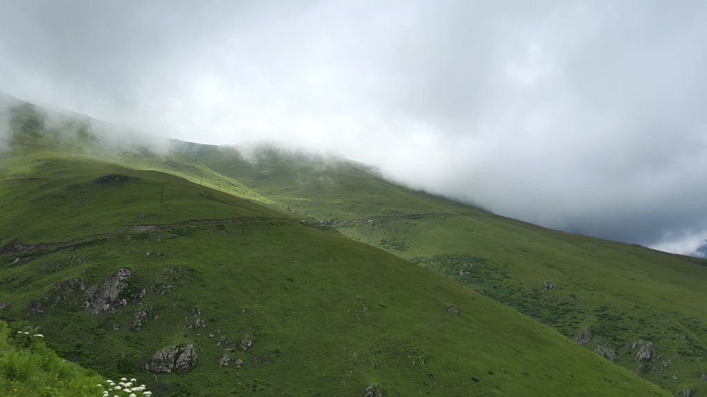 photo90.jpg