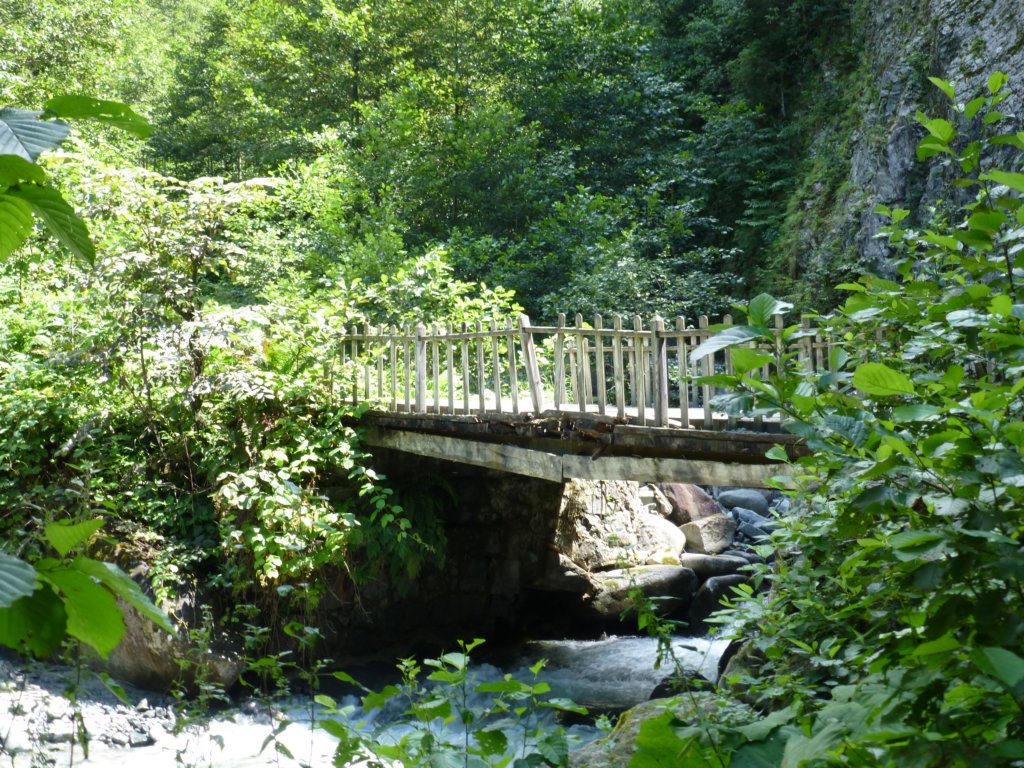 photo11.jpg