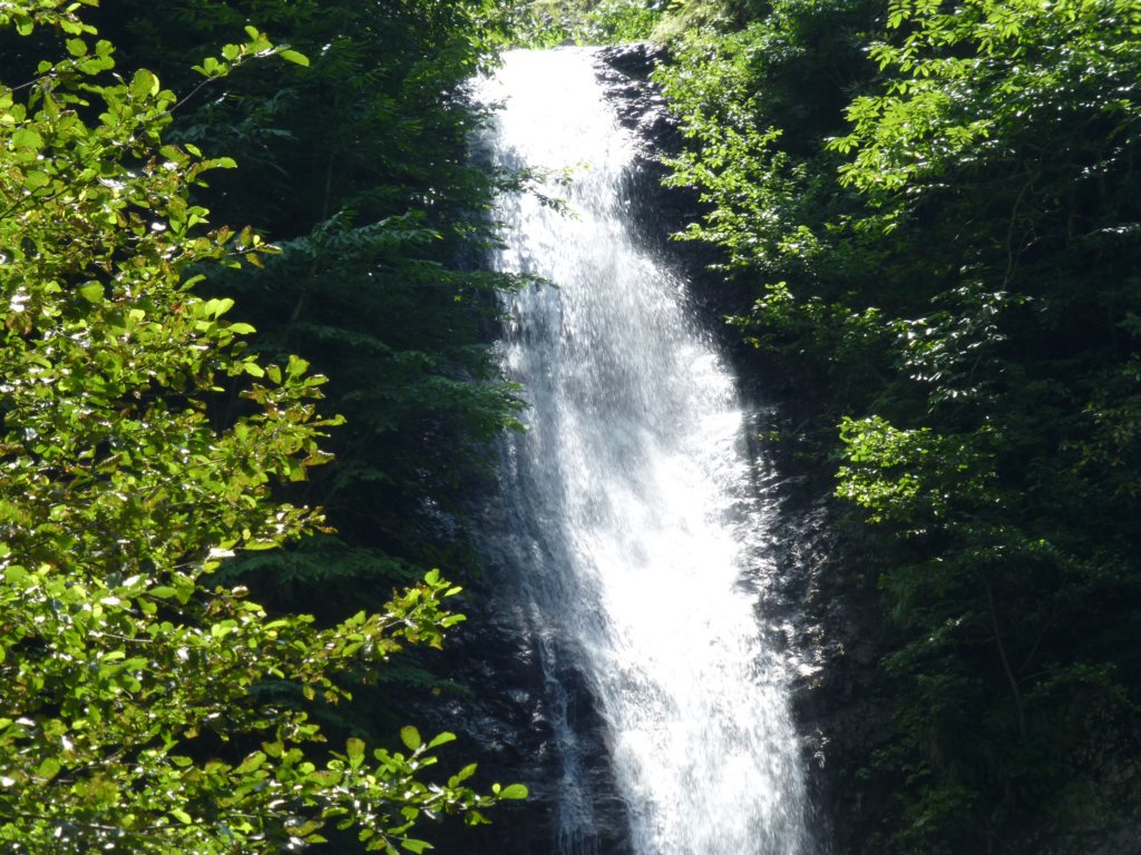 photo36.jpg