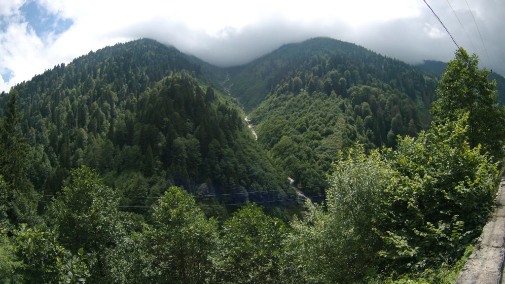 photo44.jpg