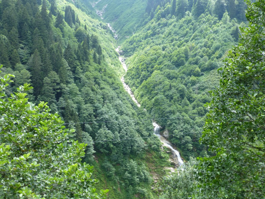 photo46.jpg