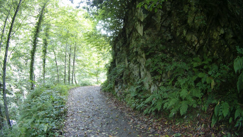 photo5.jpg