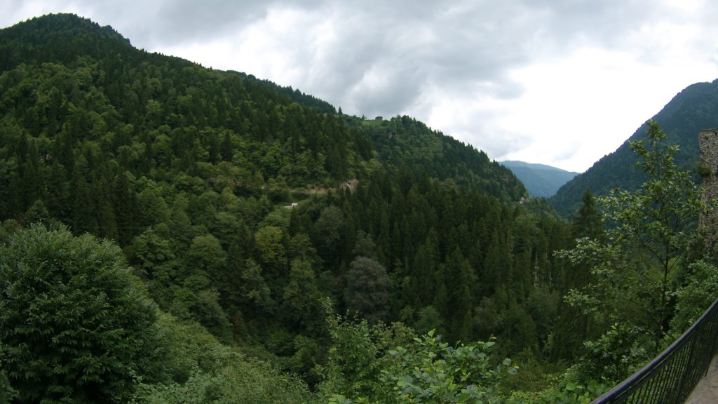photo83.jpg