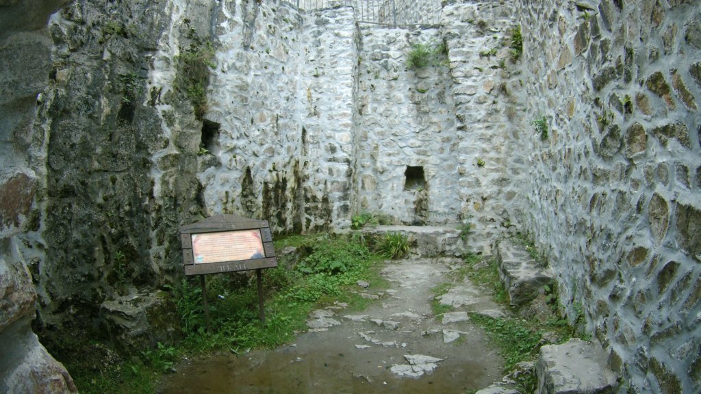 photo91.jpg