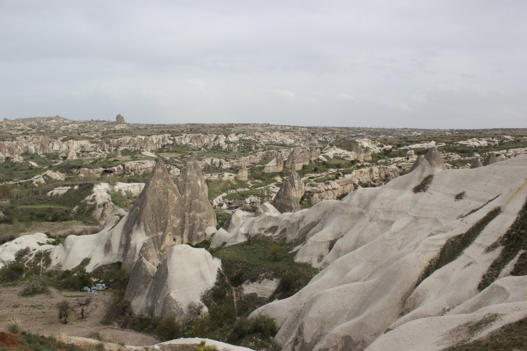 photo6.jpg