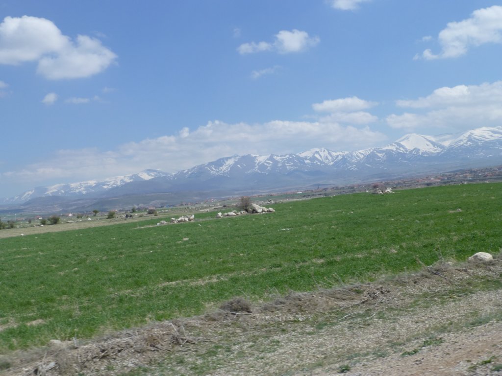 photo4.jpg