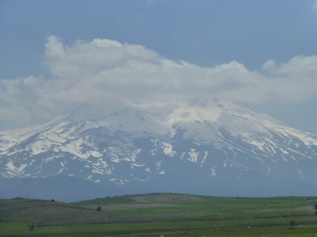 photo7.jpg