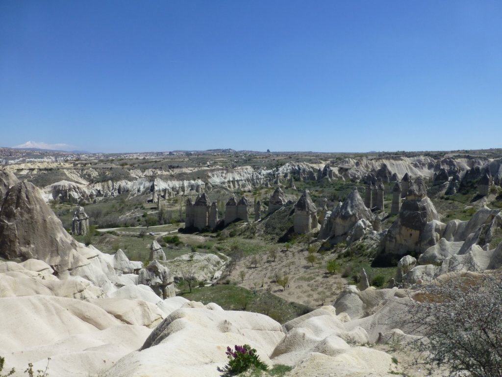 photo22.jpg