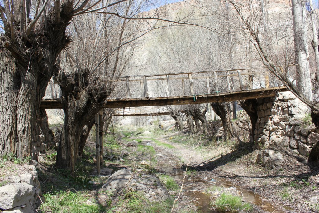photo42.jpg