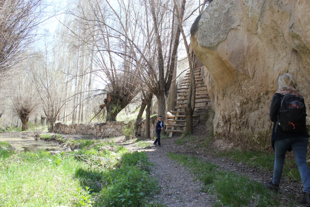 photo46.jpg