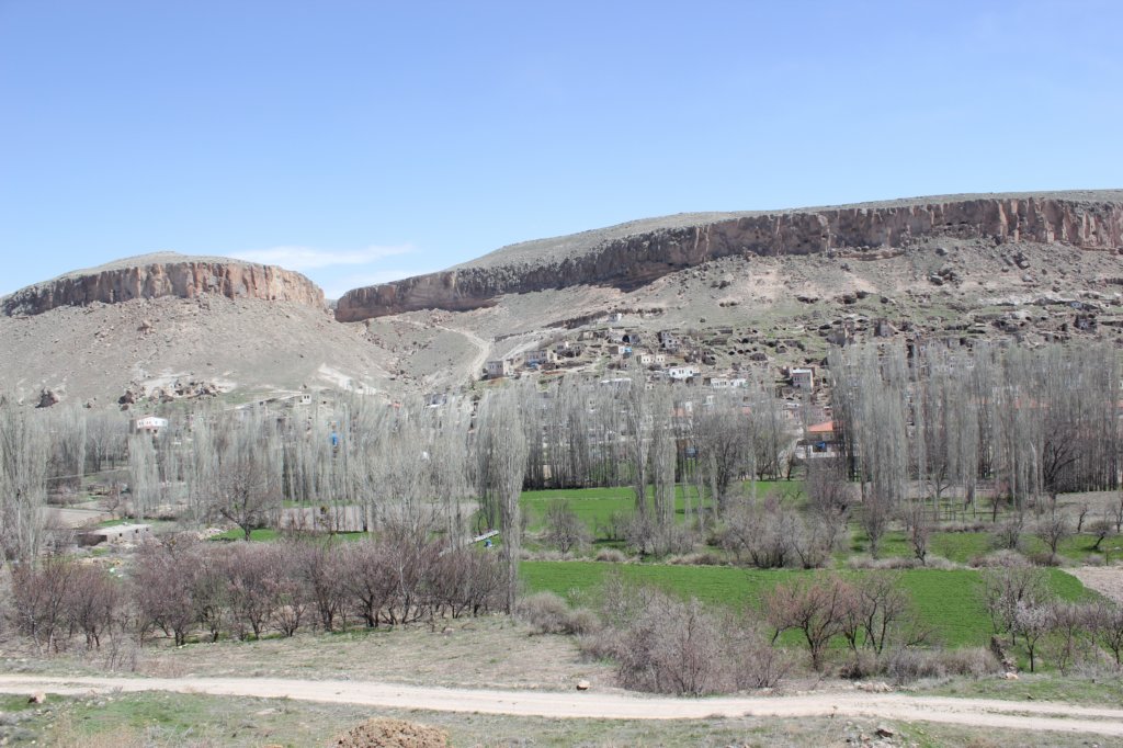 photo5.jpg