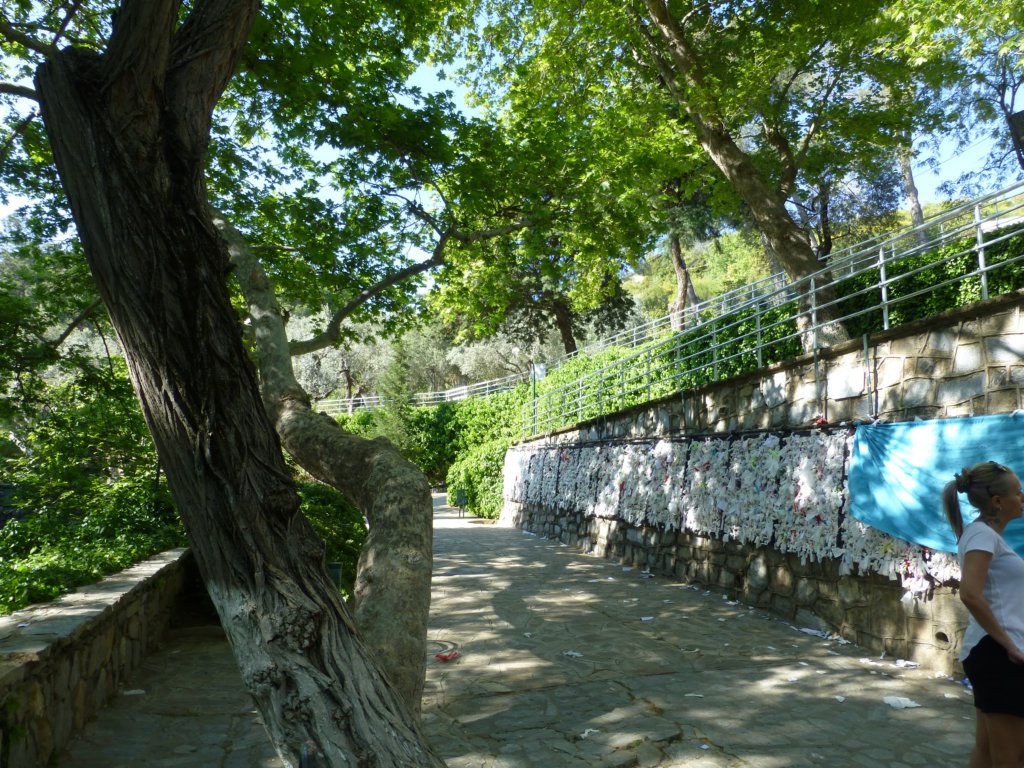 photo75.jpg