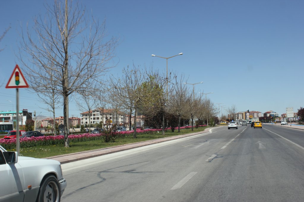 photo19.jpg