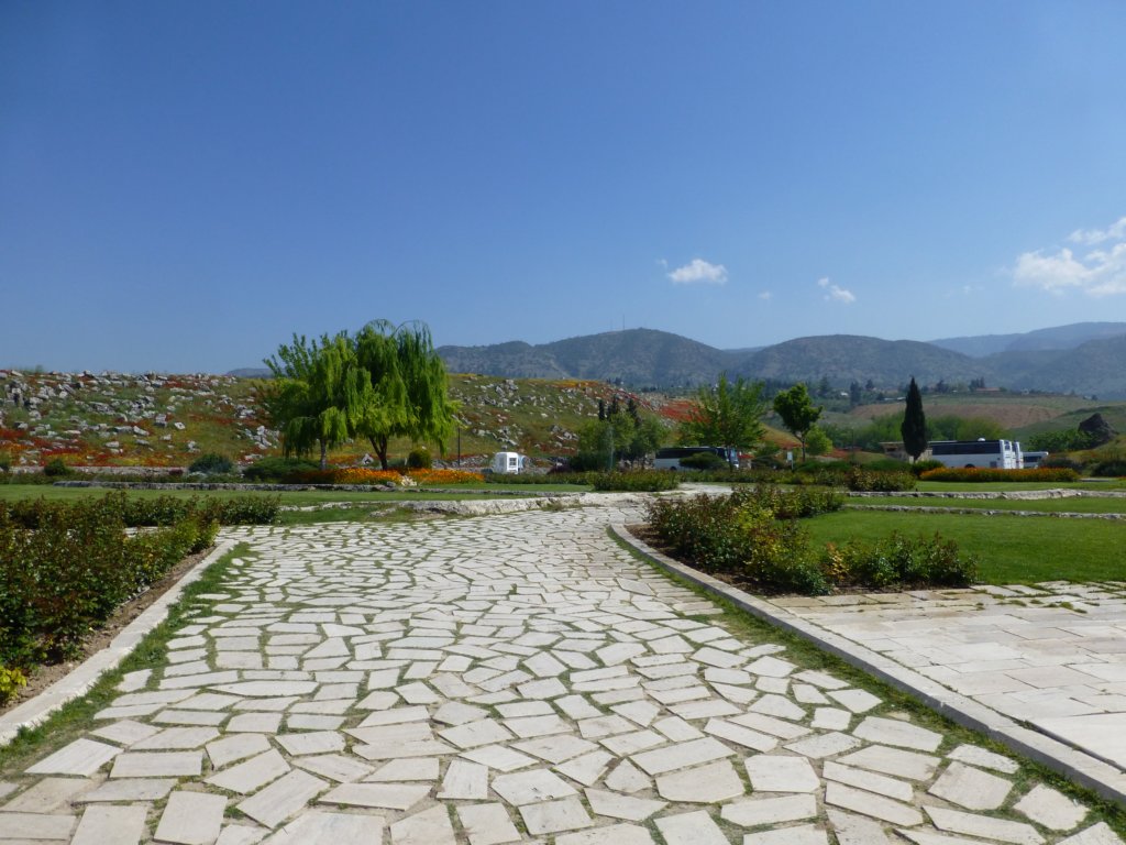 photo25.jpg