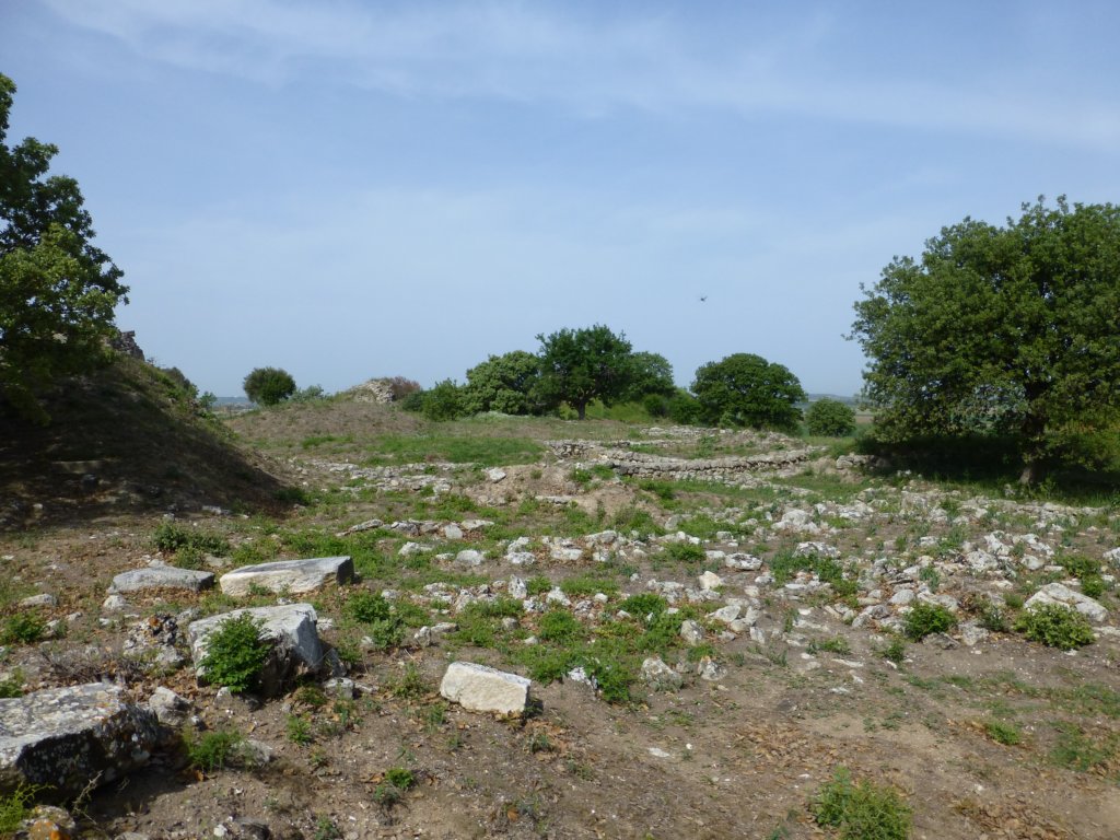 photo27.jpg