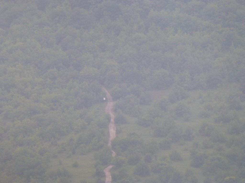 photo44.jpg
