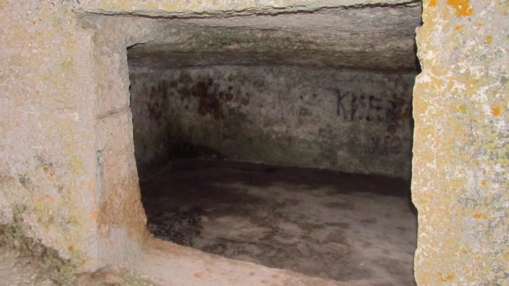 photo28.jpg