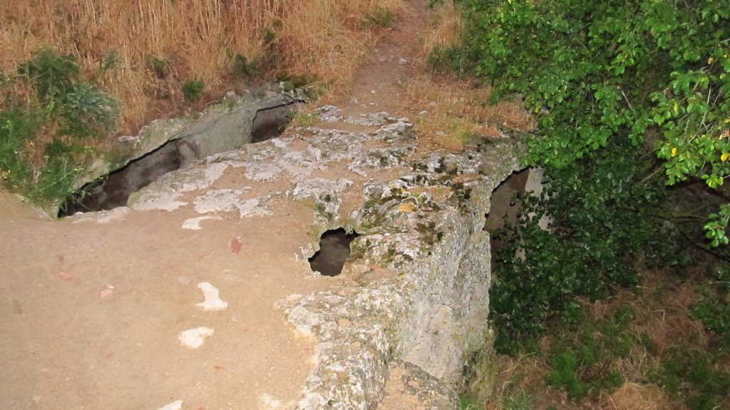 photo47.jpg