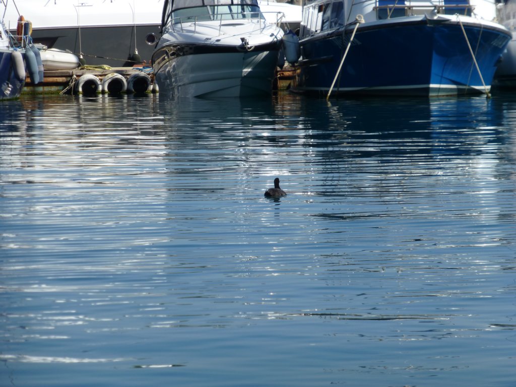 photo15.jpg