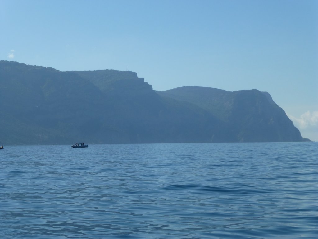 photo42.jpg