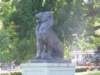 photo163_small.jpg