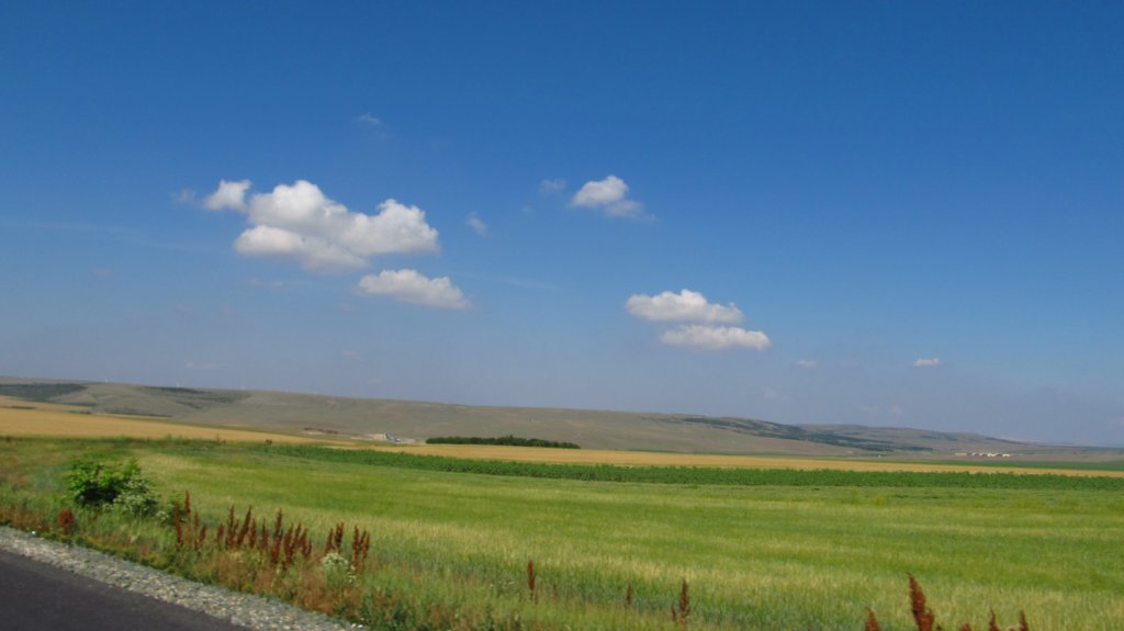 photo14.jpg