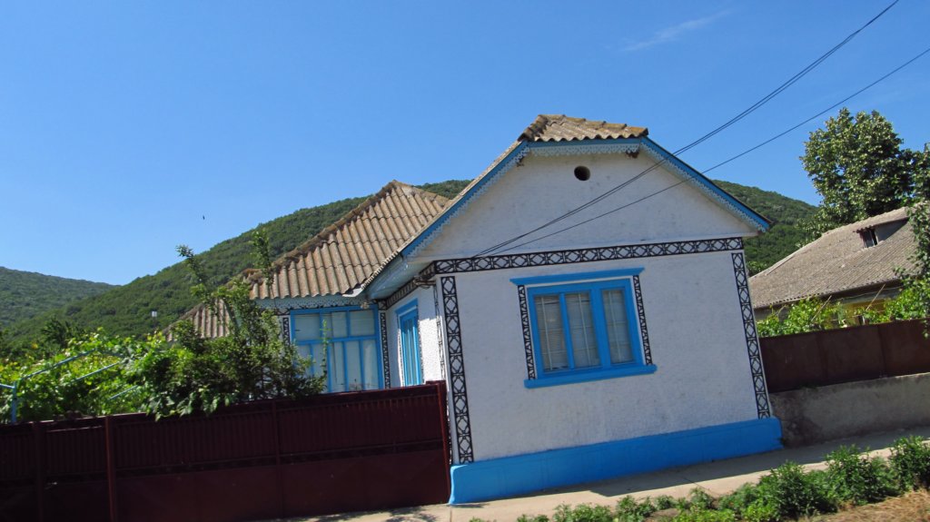 photo17.jpg