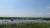 photo193_small.jpg