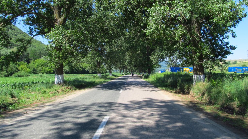 photo24.jpg