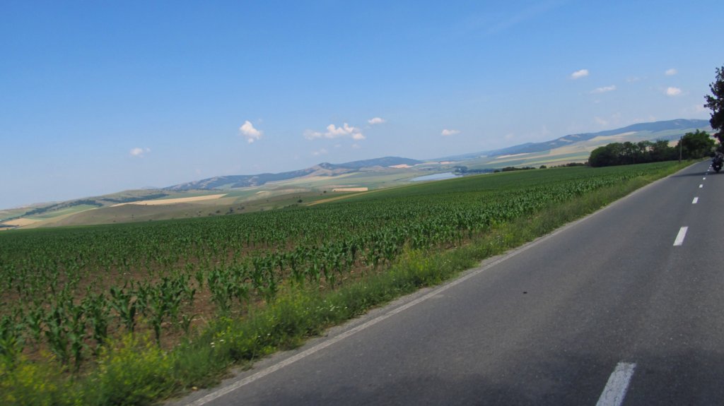 photo27.jpg