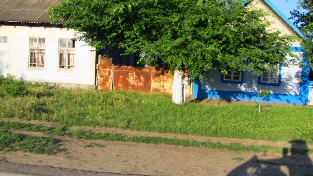 photo92.jpg