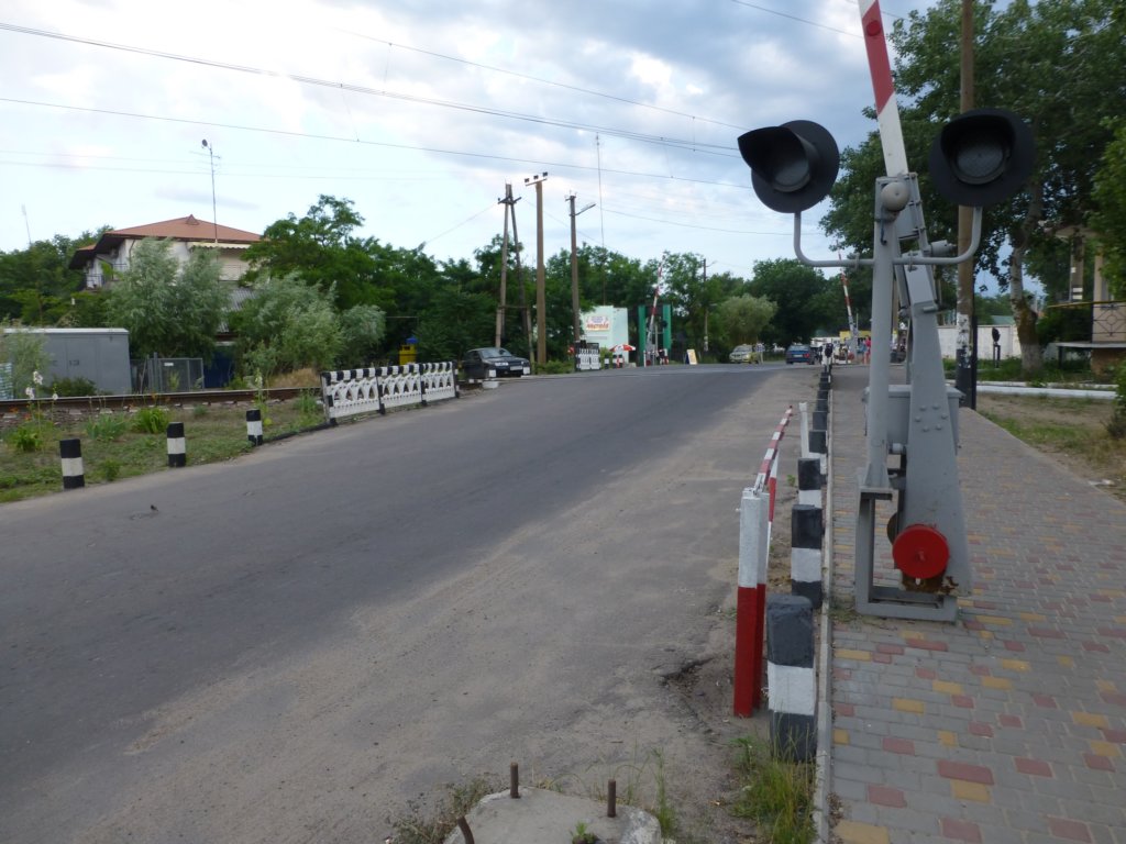 photo14.jpg