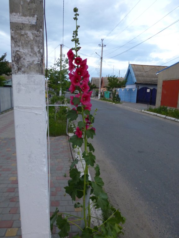 photo20.jpg
