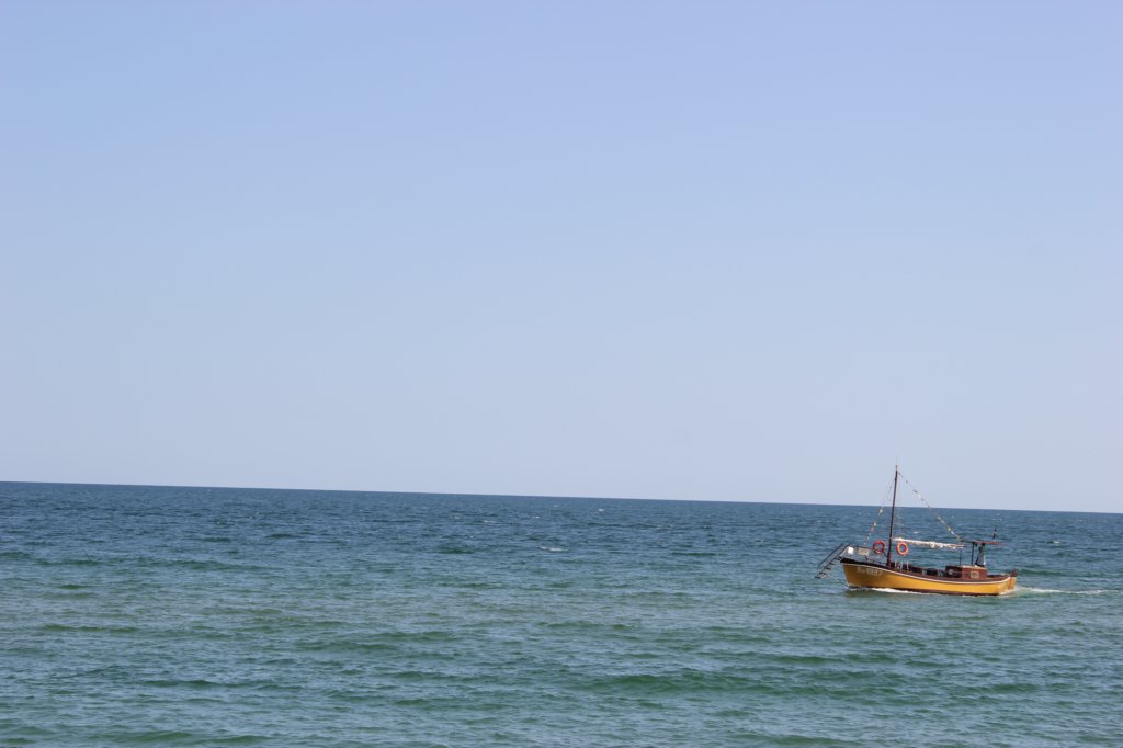 photo14.jpg
