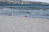 photo154_small.jpg