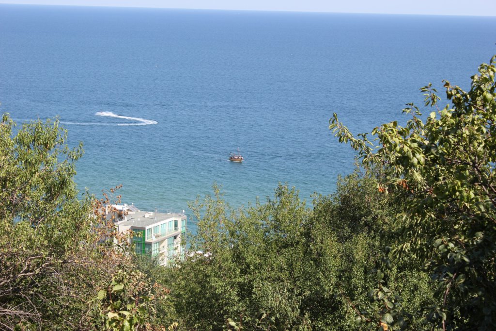 photo3.jpg