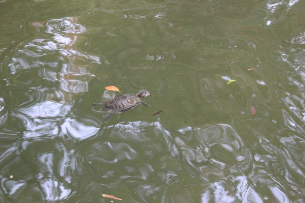 photo37.jpg