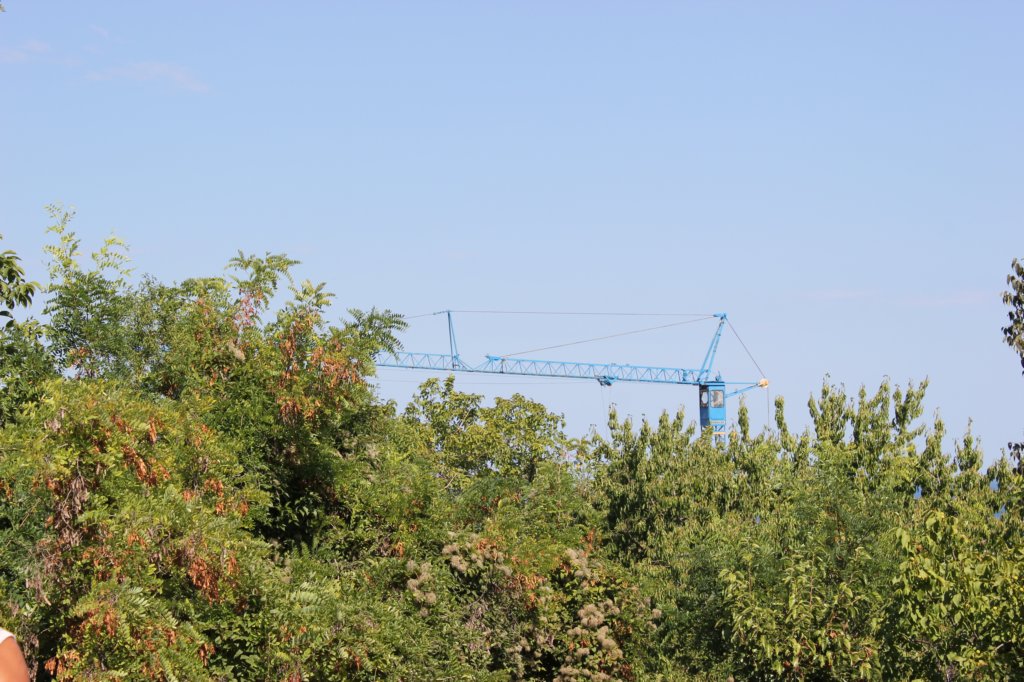 photo9.jpg