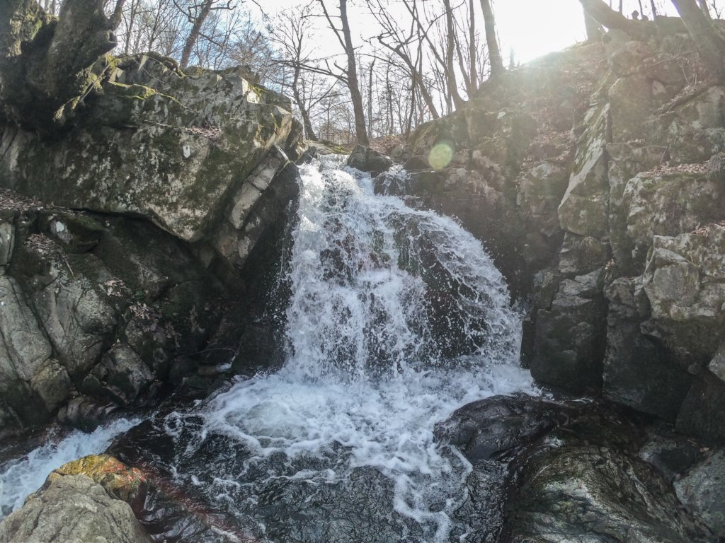 photo11.jpg