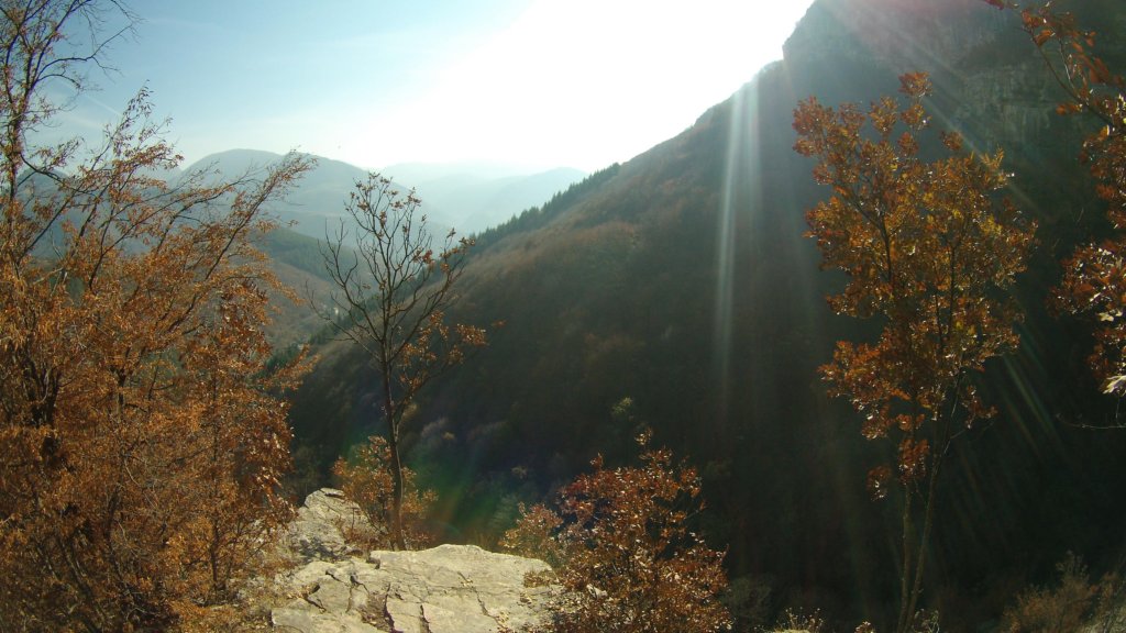photo13.jpg