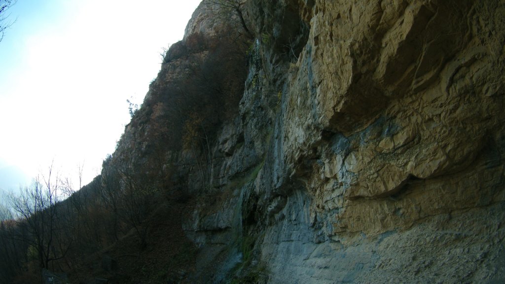 photo17.jpg