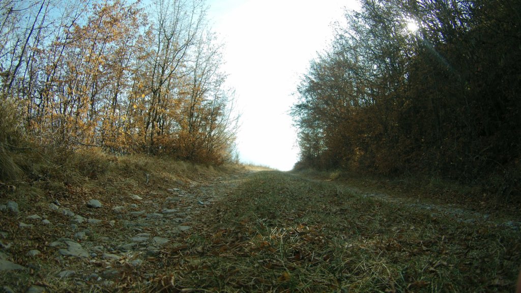 photo39.jpg