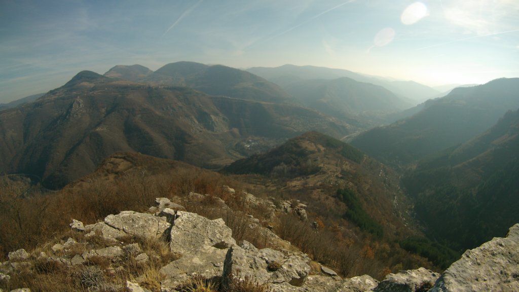 photo44.jpg