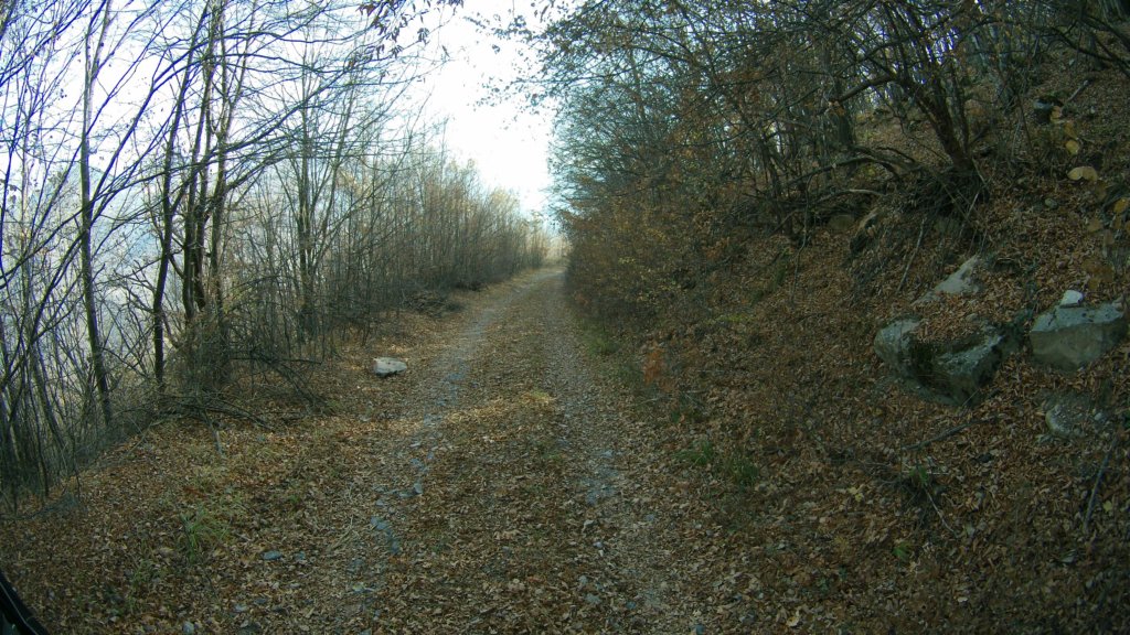 photo50.jpg