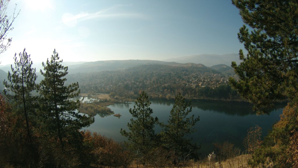photo65.jpg