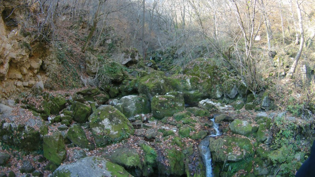 photo7.jpg
