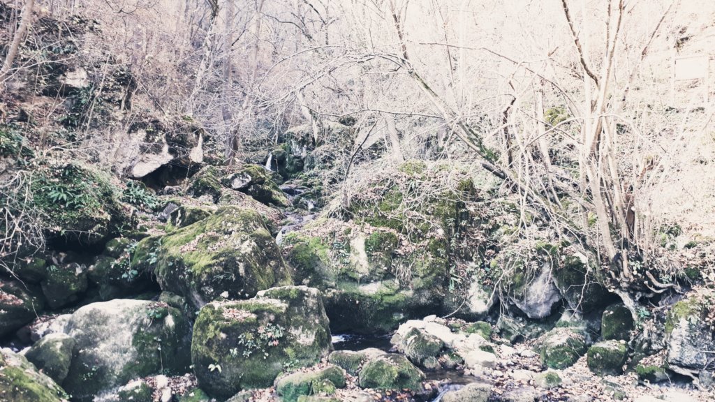 photo8.jpg