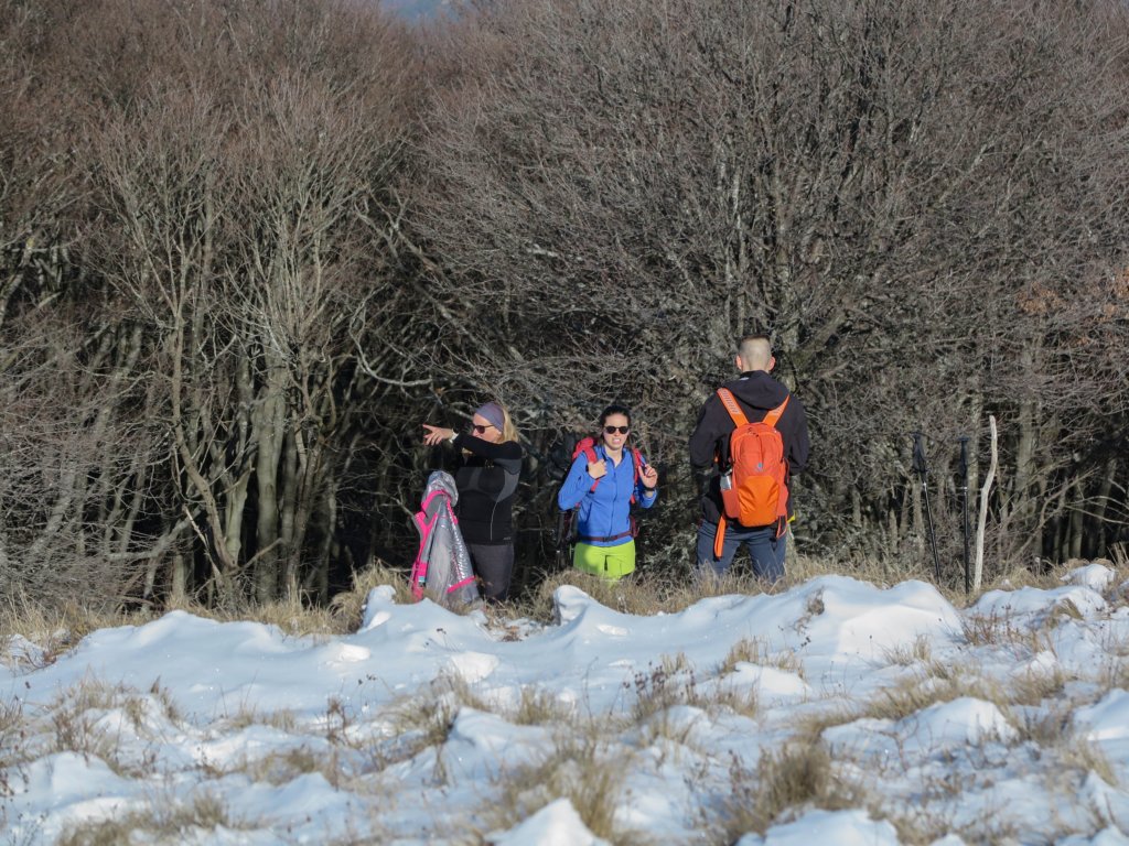 photo8.jpg