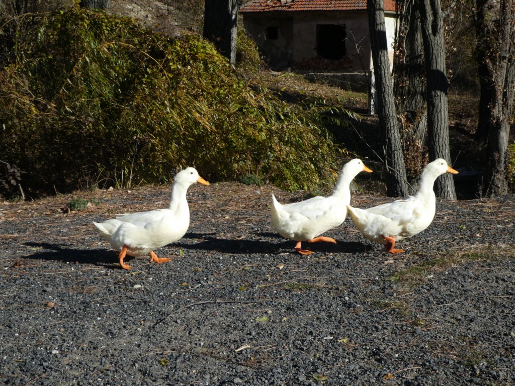 photo2.jpg