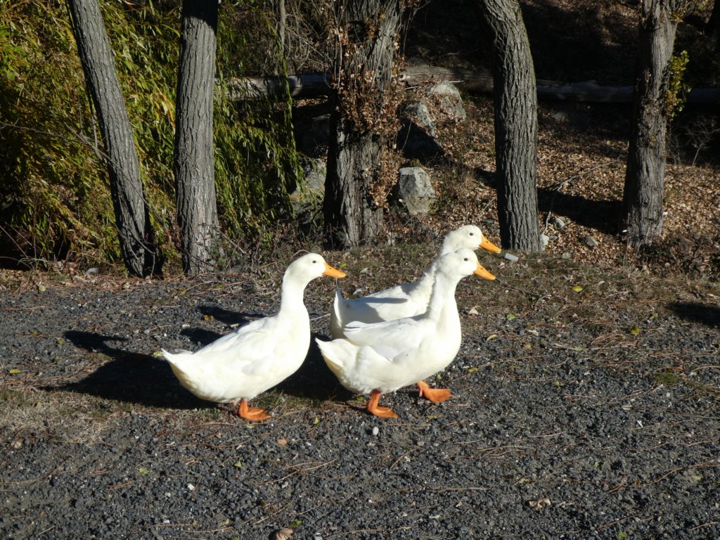 photo3.jpg